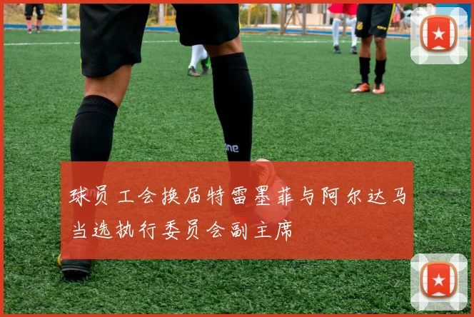 球员工会换届特雷墨菲与阿尔达马当选执行委员会副主席